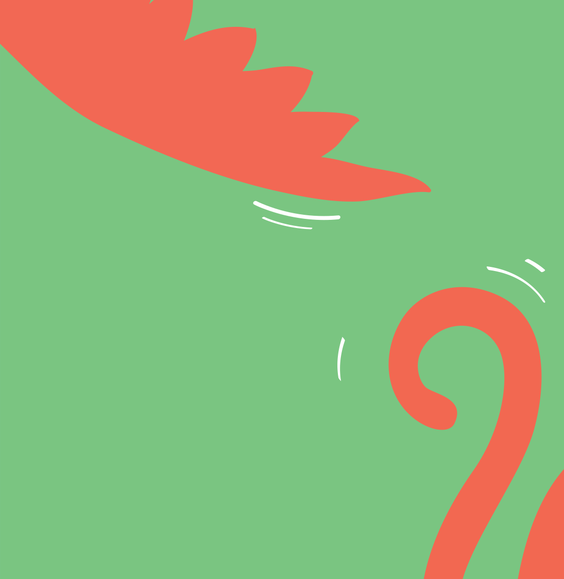 bird and cat copy