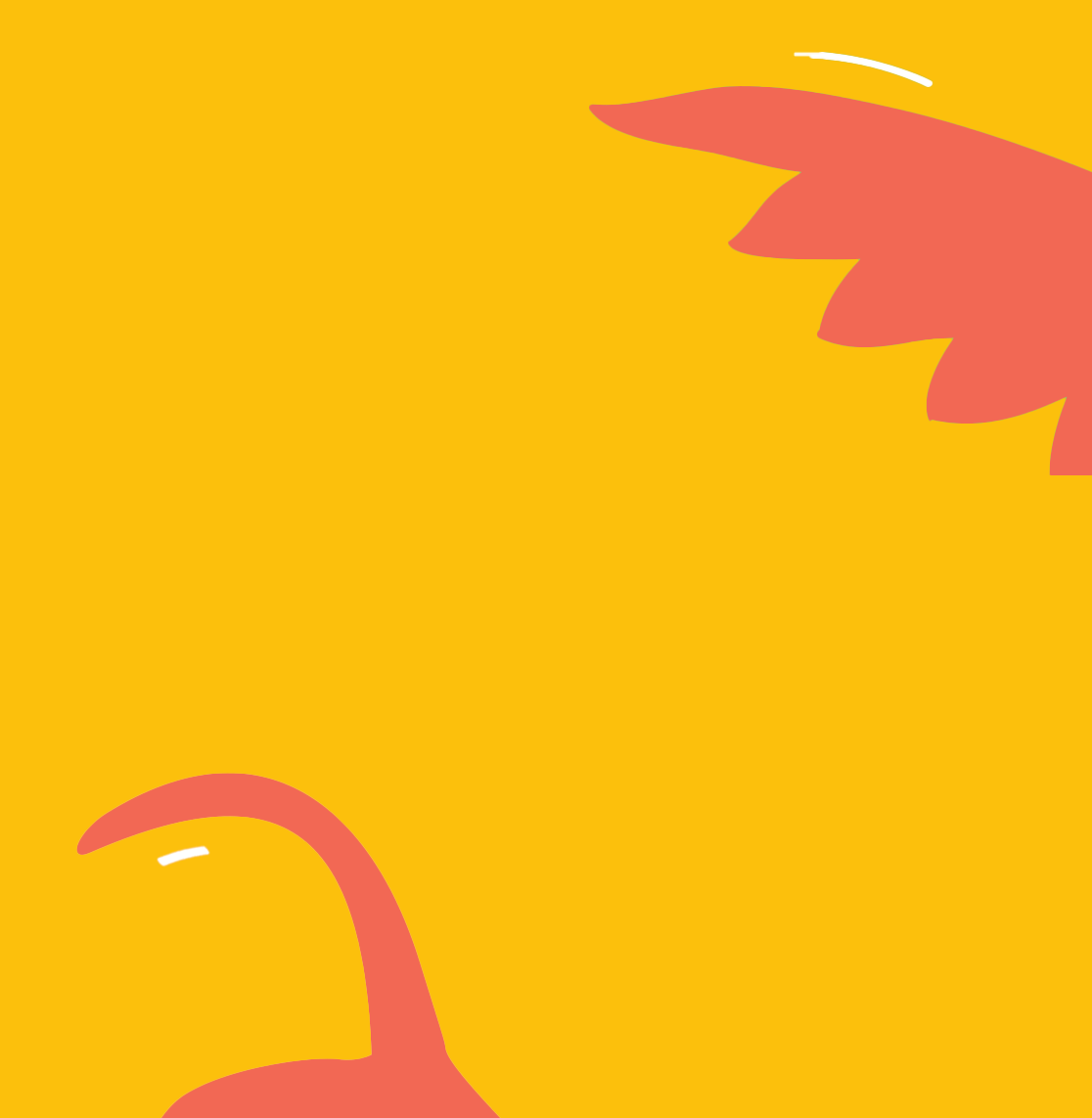 cat bird