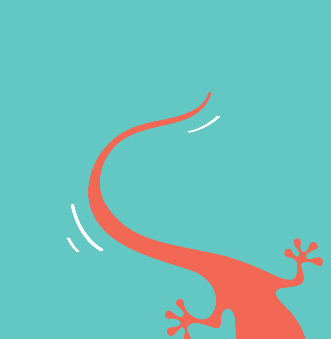 salamander copy